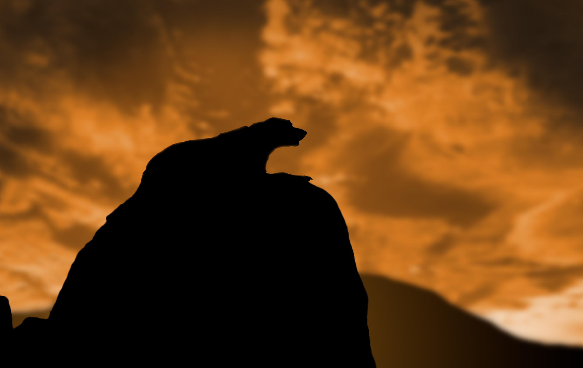 Sunset Silhouette